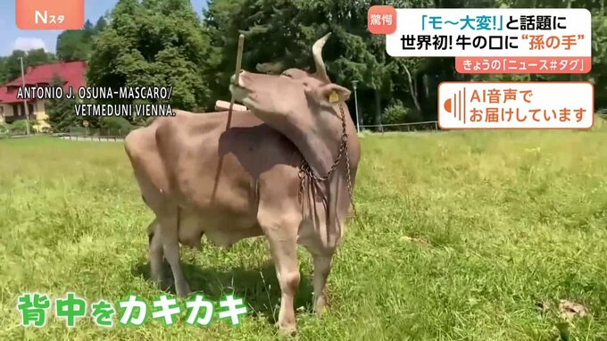 Generic placeholder image