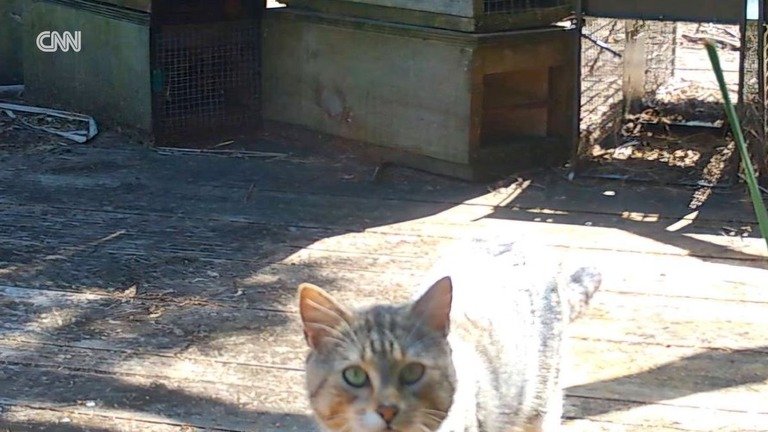 Generic placeholder image