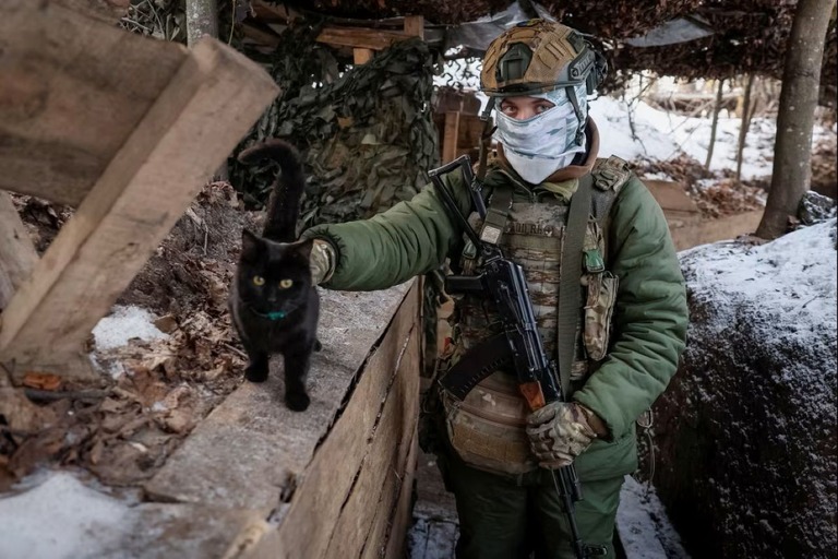 Generic placeholder image