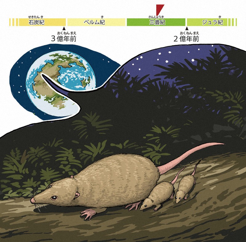 Generic placeholder image