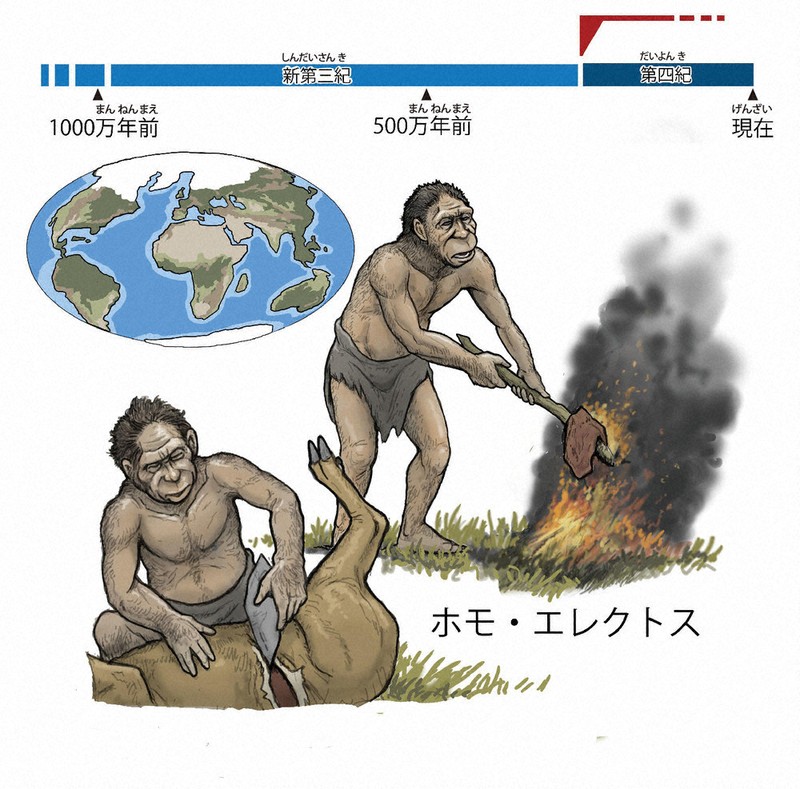 Generic placeholder image